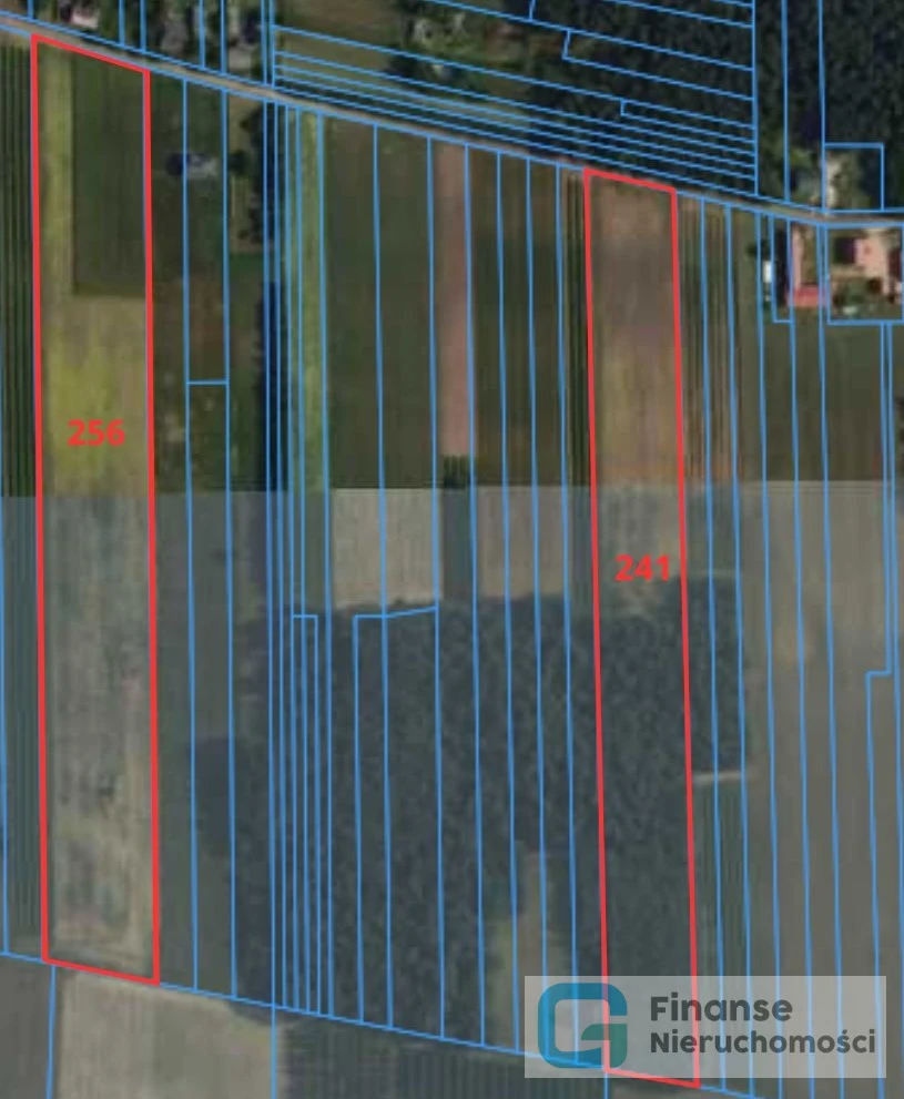 🌿 Duże działki gruntowe przy drodze asfaltowej | 1,84–1,93 ha | spokojna, zielona okolica