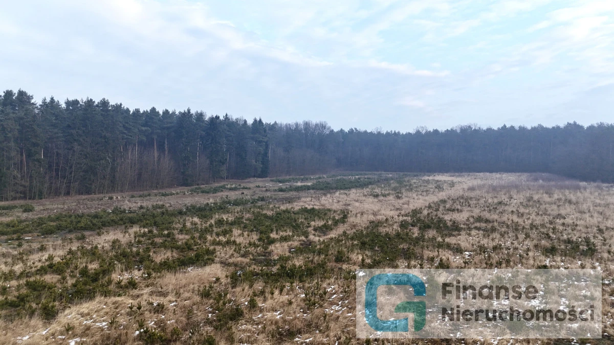 🌲 Dwie działki rekreacyjne w Ossie | 505 m² i 658 m² | MPZP | lasy i tereny zielone