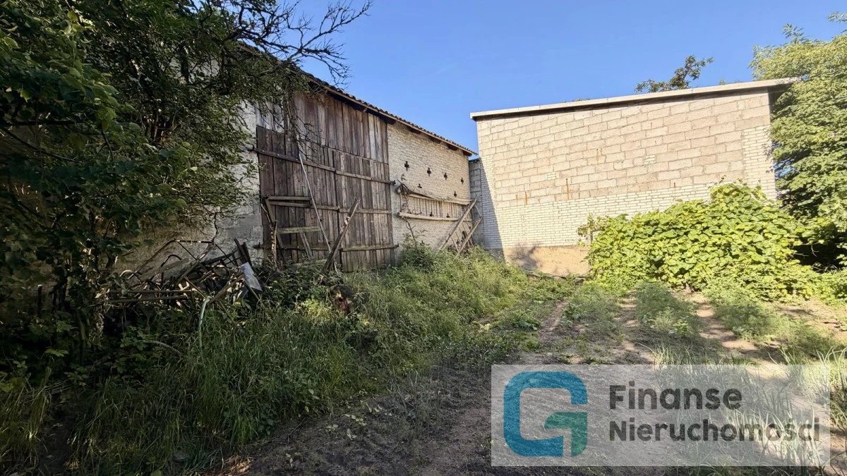 Zdjęcie 5
