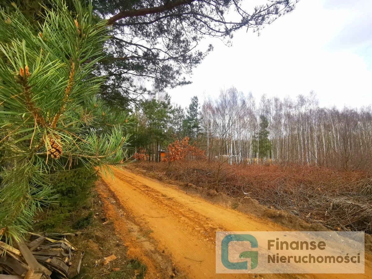 🌳 Działka 6000 m² w otoczeniu natury | Chudolipie, gm. Mszczonów | Potencjał zabudowy rezydencjonalnej | Blisko Suntago