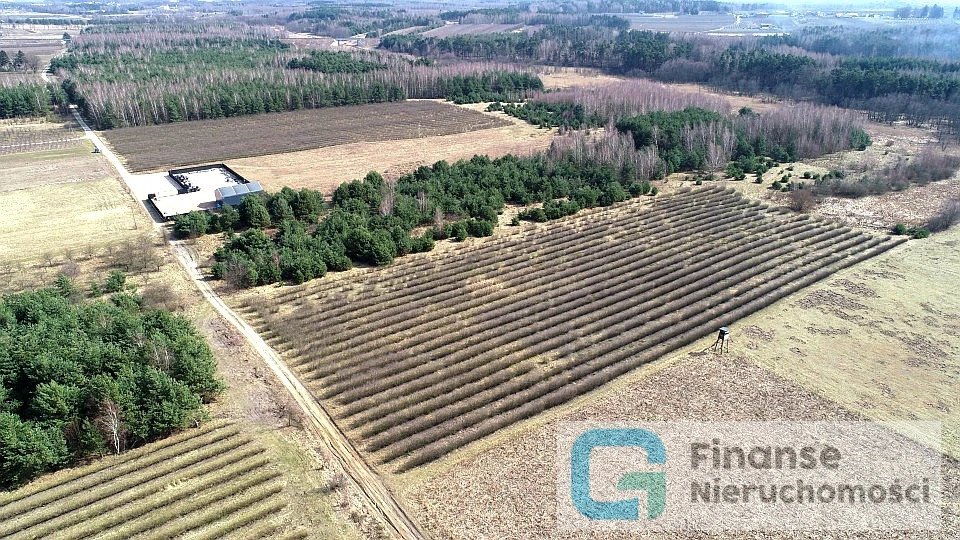 🏡 Działka rezydencjonalna 17 374 m² | Żurawia, gm. Biała Rawska | MPZP 2MR | możliwość podziału | rzeka i planowany zbiornik wodny