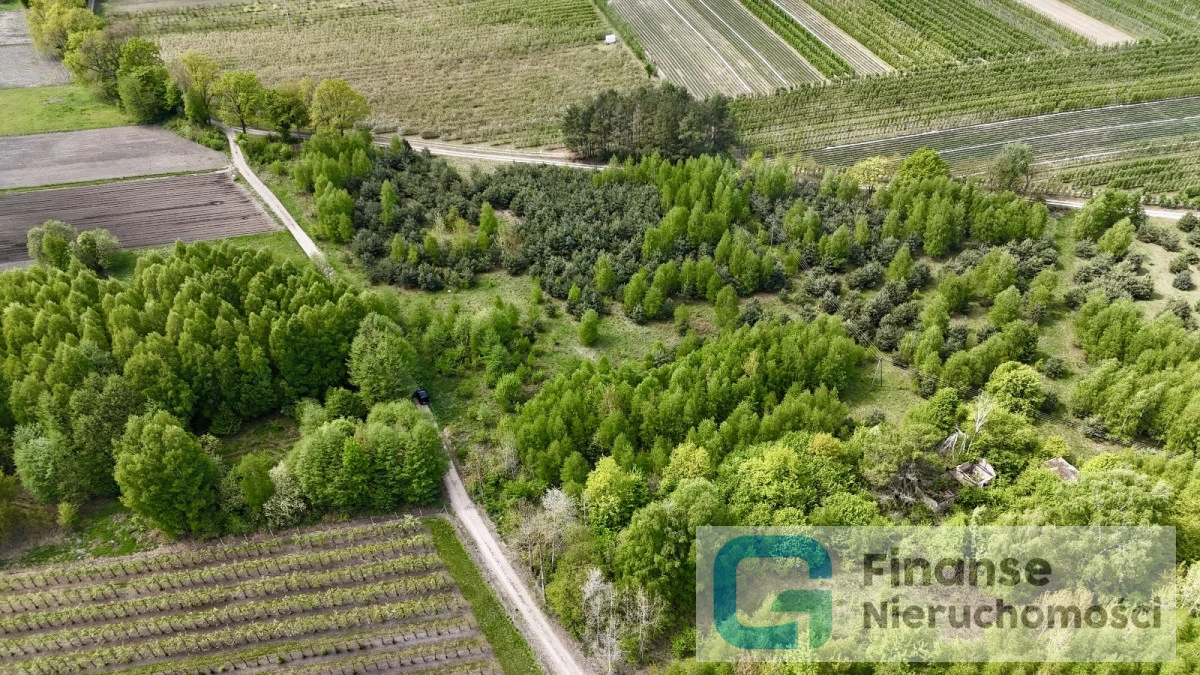 🌿 Działka rolna 1,7534 ha | Wola Chojnata, gm. Biała Rawska | MPZP | możliwość zabudowy zagrodowej i zalesienia