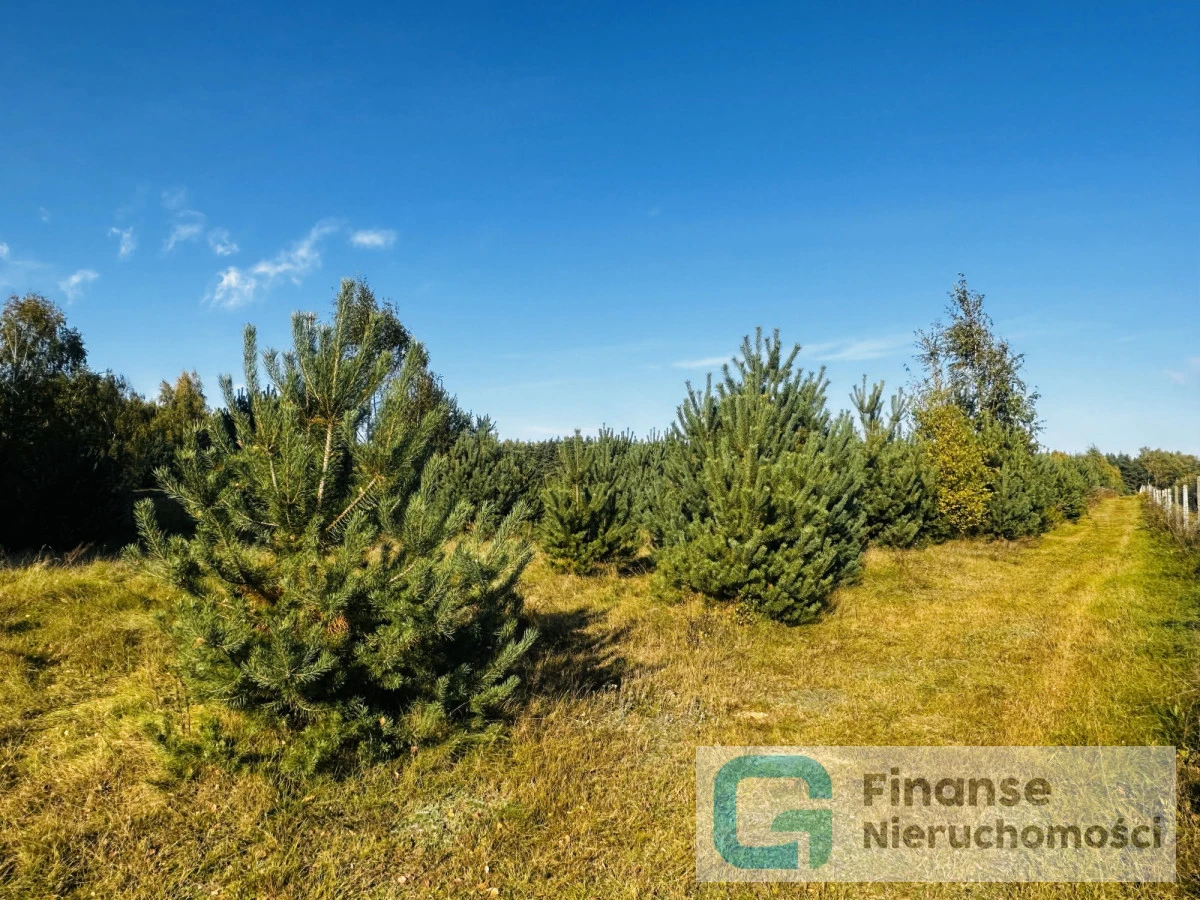 🌿 Działka rolno-budowlana 8800 m² | MPZP | Żurawka, gm. Biała Rawska