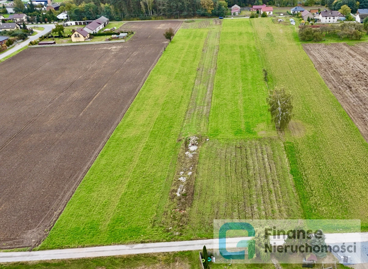 Działki budowlane blisko lasu | 1500–1610 m² | Brzozówka, gm. Cielądz 