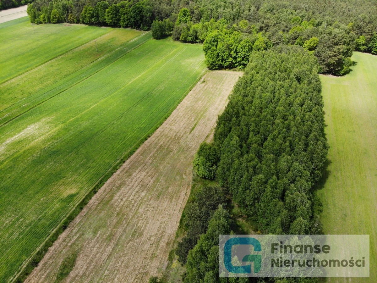 🌿 Ostatnie działki na sprzedaż | Zielone, gm. Rawa Mazowiecka | MPZP | Atrakcyjne ceny
