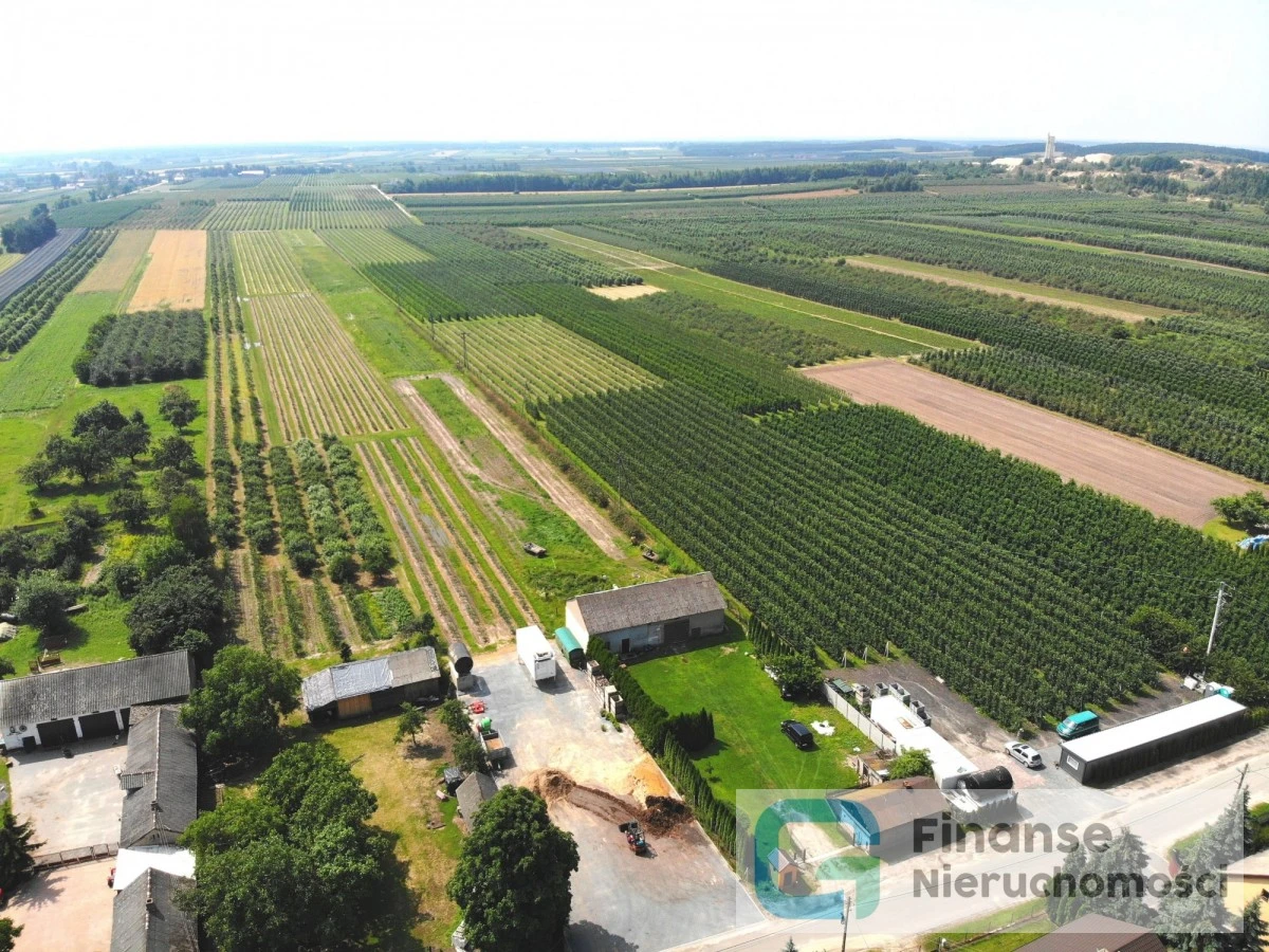 🏡 Siedlisko z domem i budynkiem gospodarczym | 1,42 ha | Olszowa Wola, gm. Sadkowice | Nawodnienie