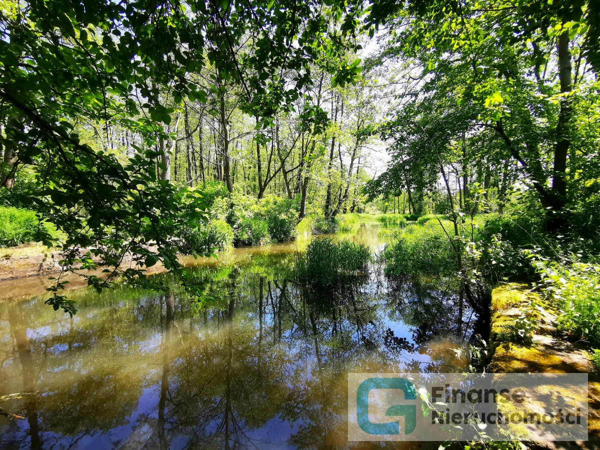🌳 Udział ½ w nieruchomości o powierzchni 7,6327 ha | dom, las i rzeka Białka | Przewodowice, gm. Rawa Mazowiecka