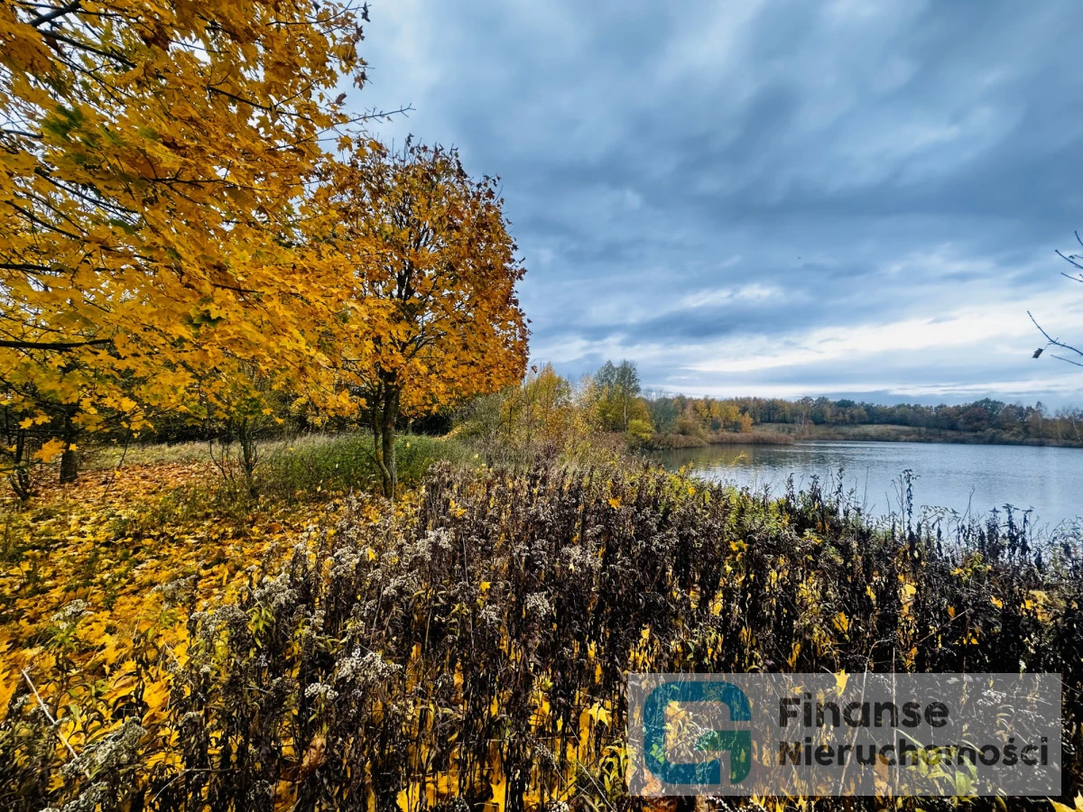 🌊 Wyjątkowa nieruchomość z prywatnymi akwenami | 29,2990 ha | Grzybiny, gm. Działdowo | Mazury
